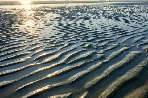 Wet Sand Texture Stock Photos