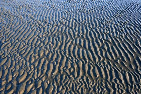 Wet Sand Texture Stock Photos