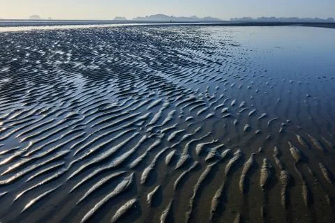 Wet Sand Texture Stock Photos