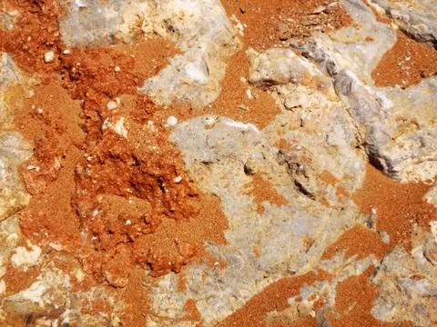 Wet sand as a texture. Stock Photos