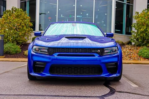 Wet Scat Pack Stock-Fotos