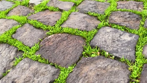 A wet sidewalk creates a shiny backdrop. Stone road, paving stones in the old ci 스톡 동영상 145493663