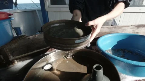 Wet Sieving Stock Footage 150733289