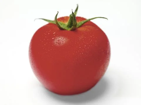 Wet single tomato Stock Photos