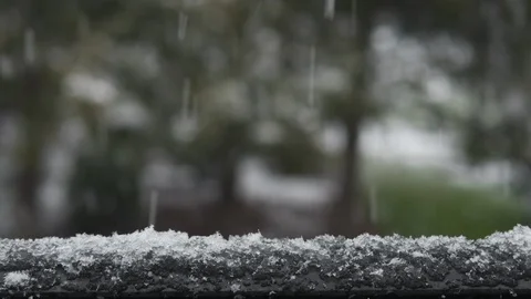 Wet snow falling and accumulating, trees in the background Stock Footage 88196271
