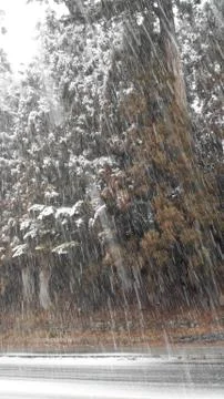 Wet snow Stock Photos
