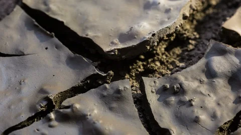 Wet soil splitting timelapse earth mud macro drought Stock Footage 102728256