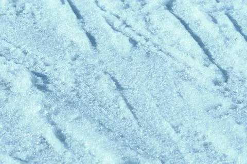 Wet spring snow texture close up. Natural abstract background blue color 스톡 사진