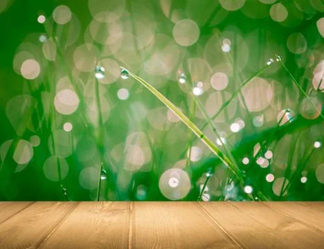 Wet springtime grass with bokeh effect and wooden floor.. Stock Illustration