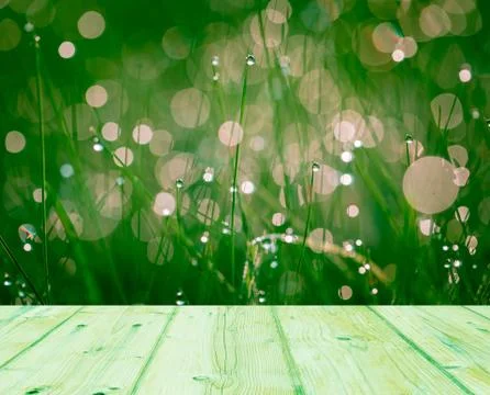 Wet springtime grass with bokeh effect and wooden floor.. Stock Illustration