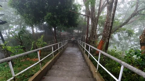 Wet stairs leading down to the exit. Video stock 232220951