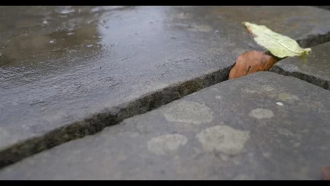 Wet step, 24fps, b-roll footage, standard 709 colour profile Stock Footage 277231632