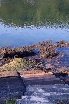 Wet steps Stock Photos