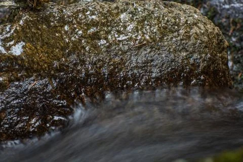Wet stone in a brook Foto stock