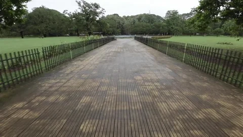 Wet Stone Path In Garden in Monsoon Stock Footage 280562837