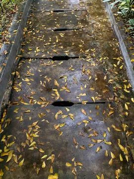Wet stone path or cobbled street with fallen leaves after the rain Stock Photos