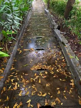 Wet stone path or cobbled street with fallen leaves after the rain Foto stock