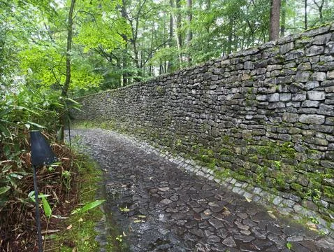 Wet stone path winds through ancient forest Stock Photos