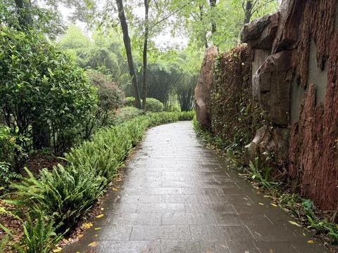 Wet Stone Pathway Through Lush Green Garden Fotos de archivo