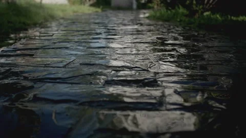 Wet stone pavement Stock Footage 257892564