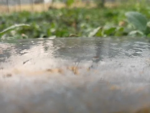 Wet stone Stock Photos