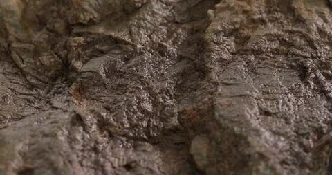 Wet stone texture close-up. macro shot of a rock. natural mineral background Stock Footage 248726319