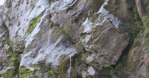 Wet stone Texture closeup Видео 335558128