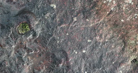 Wet stone Texture closeup Vídeos de archivo 335647094