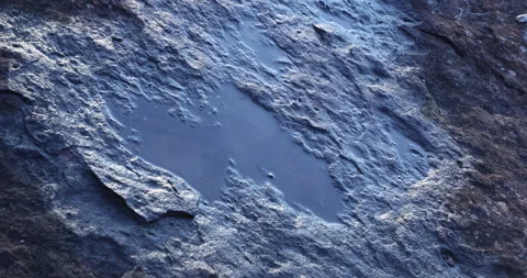 Wet stone Texture closeup Video stock 335647356