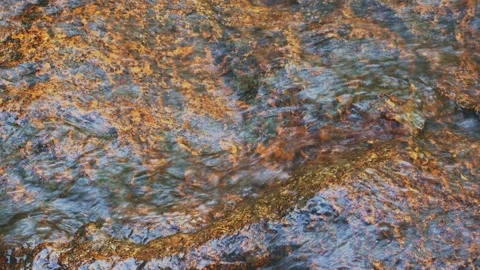 Wet stone texture under thin water layer. Loop. Stock Footage 332830297