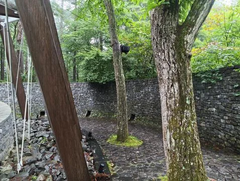 Wet stone wall frames a forested courtyard Stock Photos