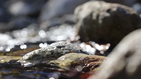 Wet Stones In The Spring Stock-Footage 153344074