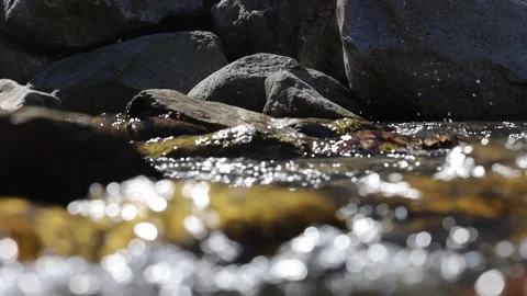 Wet Stones In The Spring Stock Footage 153344101