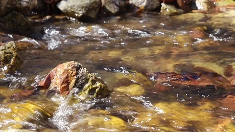 Wet Stones In The Spring Stock Footage 153344102