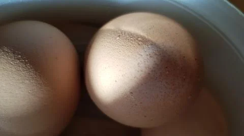 Wet surface of brown eggshell of boiled chicken eggs in sunlight and shadows Foto stock
