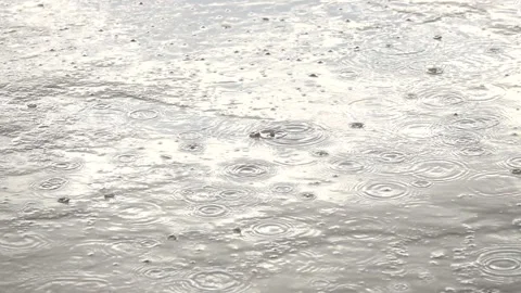 A wet surface with raindrops scattered all over it Stock Footage 291284119