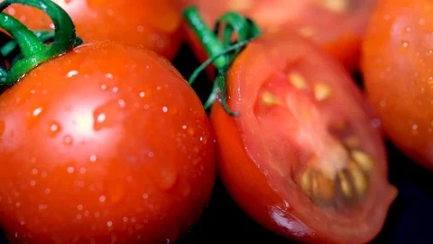 Wet tomatoes Video stock 100022885