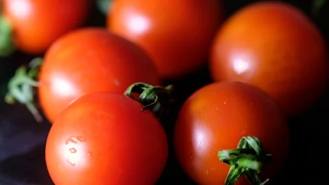 Wet tomatoes Stock Footage 100022909