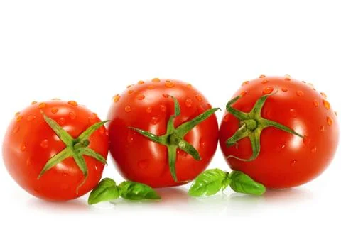 Wet tomatoes with greenery Stock Photos