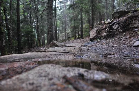 Wet Trail Stock Photos