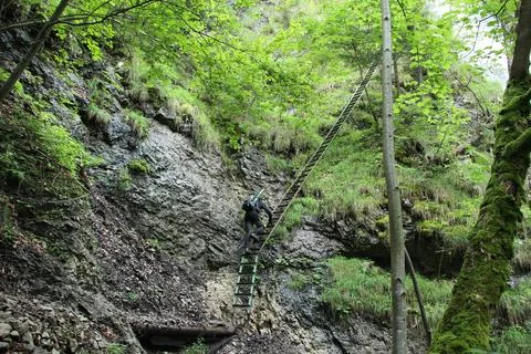 A wet trail running through streams in the Slovak Paradise National Park Stock Photos