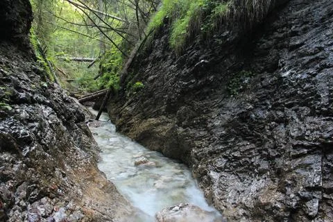 A wet trail running through streams in the Slovak Paradise Stock Photos