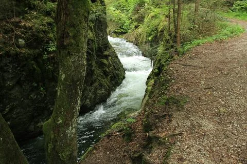 A wet trail running through streams in the Slovak Paradise Foto stock