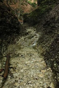 A wet trail running through streams in the Slovak Paradise National Park Foto stock