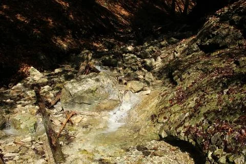 A wet trail running through streams in the Slovak Paradise National Park Stock Photos