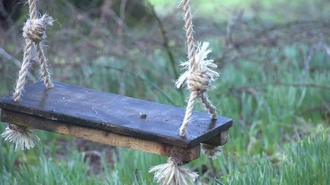 Wet tree swing swaying Stock Footage 71390227