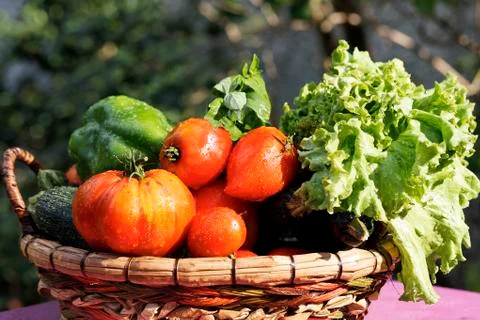 Wet vegetables on table Foto stock