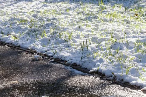 Wet walking path and first snow on green lawn wet walking path and first s... Foto stock