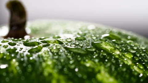 Wet Watermelon Surface HD Pro Stock Footage 87568568