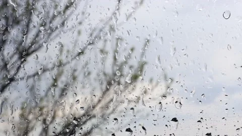 Wet window glass with falling raindrops and moving trees without leaves. Video stock 192825751